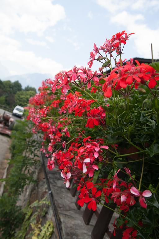 Willa Agriturismo Al Castagneto Mazzo di Valtellina Zewnętrze zdjęcie