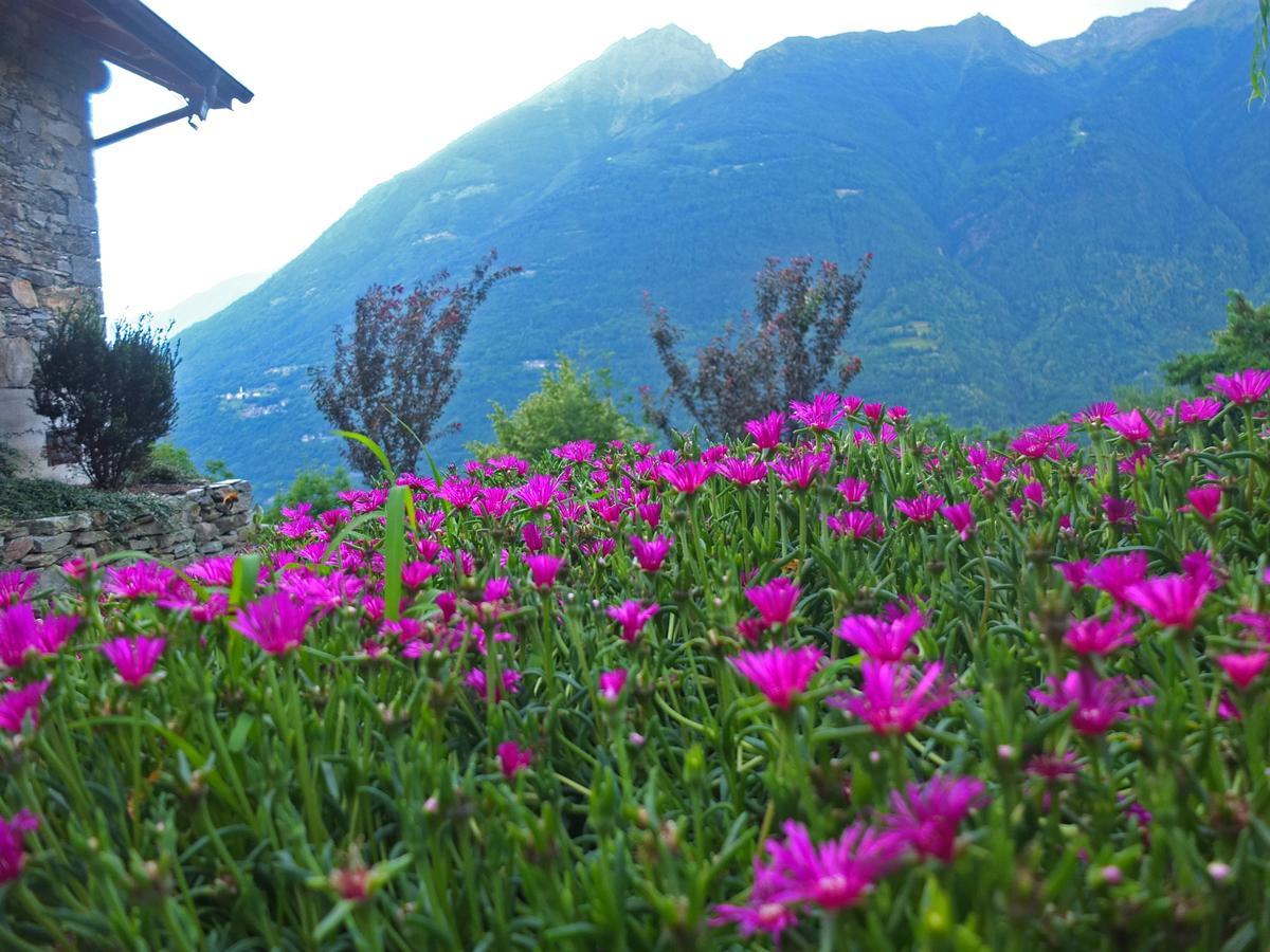 Willa Agriturismo Al Castagneto Mazzo di Valtellina Zewnętrze zdjęcie