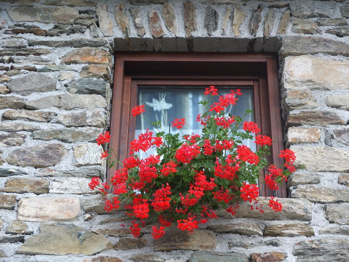 Willa Agriturismo Al Castagneto Mazzo di Valtellina Zewnętrze zdjęcie